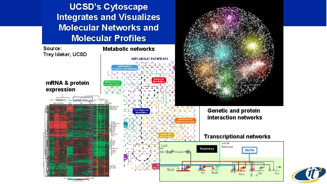 UCSD’s Cytoscape Integrates and Visualizes Molecular Networks and Molecular Profiles Source: Trey Ideker, UCSD