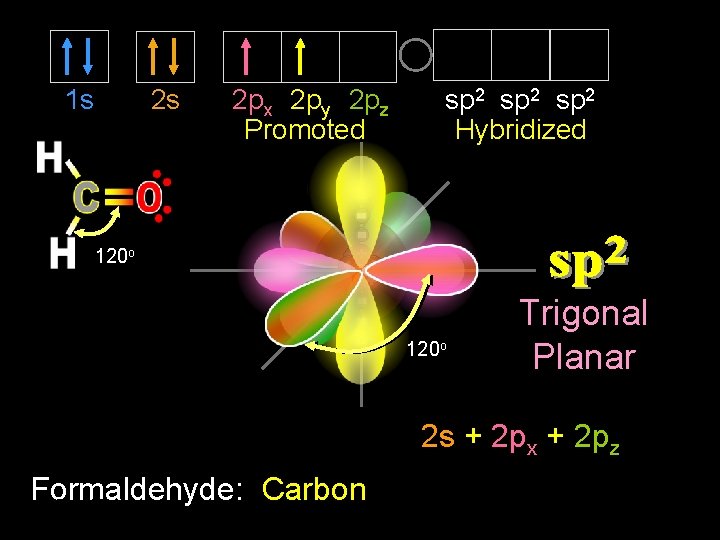 1 s 2 s sp 2 Hybridized 2 px 2 py 2 pz Promoted
