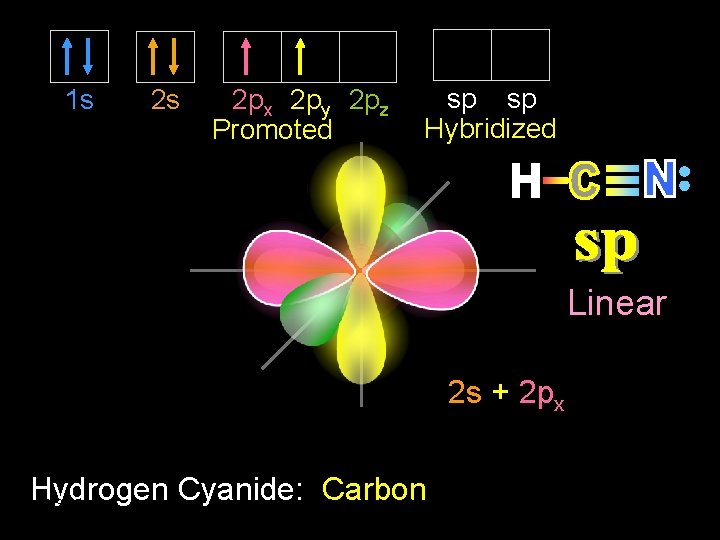 1 s 2 s 2 px 2 py 2 pz Promoted sp sp Hybridized