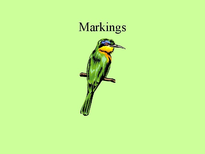 Markings 