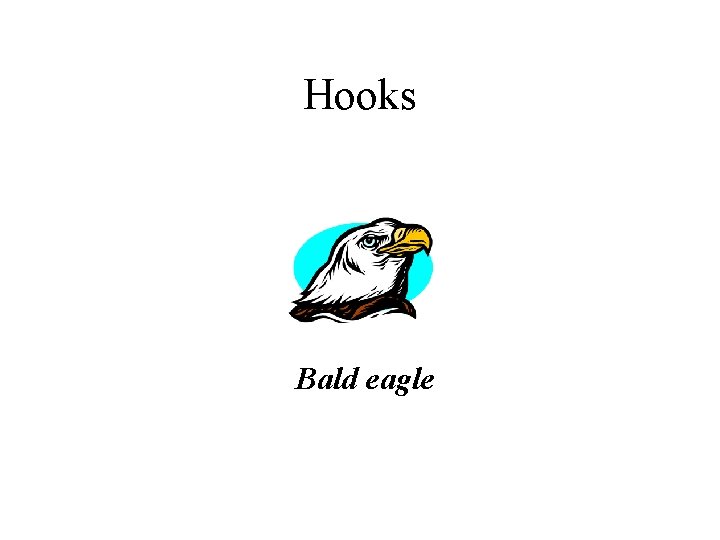 Hooks Bald eagle 