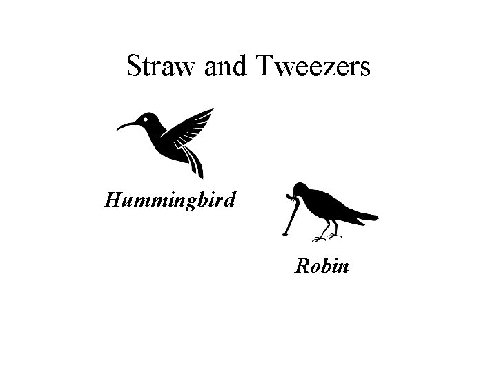 Straw and Tweezers Hummingbird Robin 