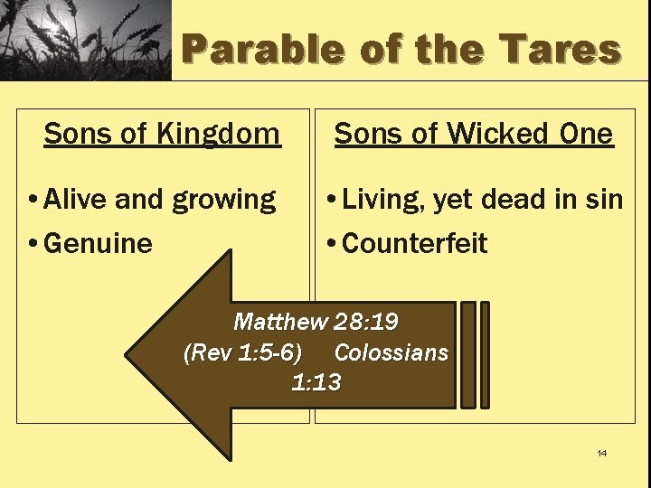 Parable of the Tares Sons of Kingdom • Alive and growing • Genuine Sons
