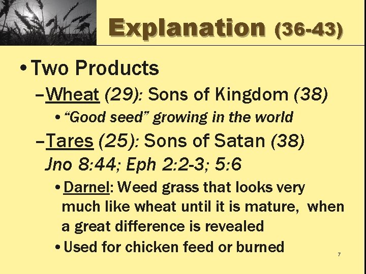 Explanation (36 -43) • Two Products –Wheat (29): Sons of Kingdom (38) • “Good