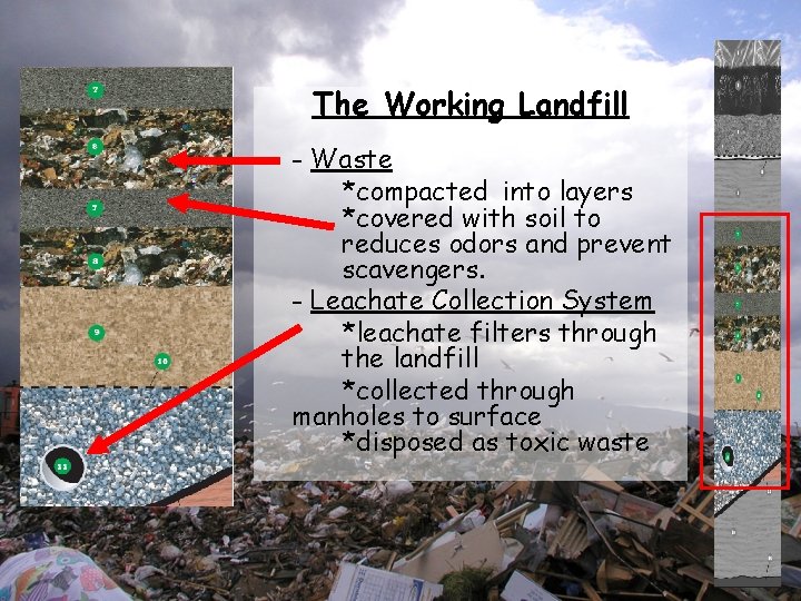 The Working Landfill - Waste *compacted into layers *covered with soil to reduces odors