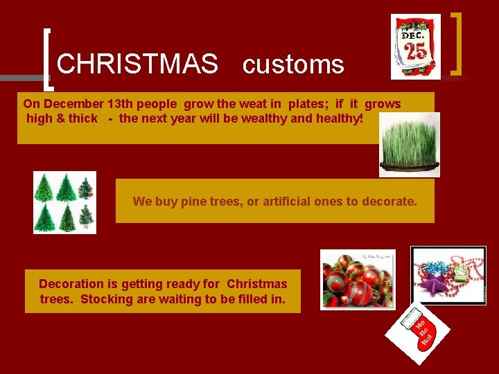 CHRISTMAS customs On December 13 th people grow the weat in plates; if it