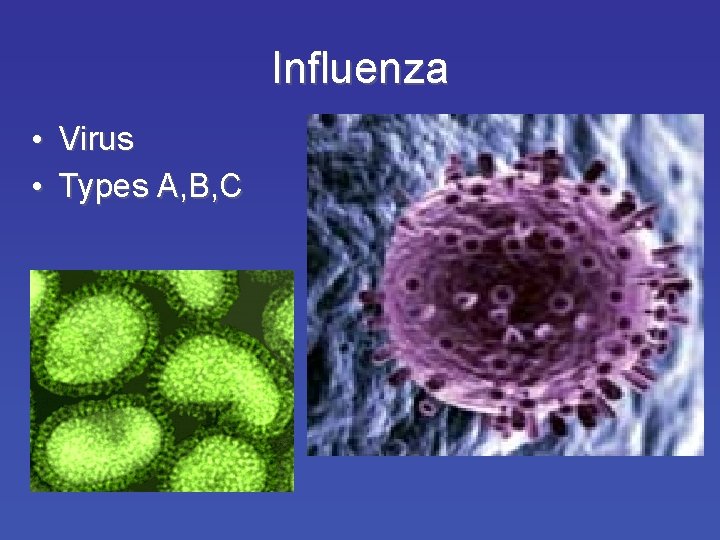 Influenza • Virus • Types A, B, C 