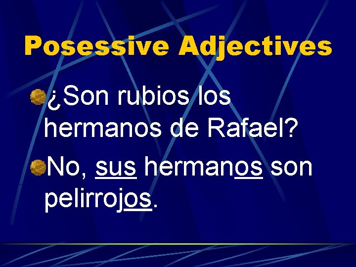 Posessive Adjectives ¿Son rubios los hermanos de Rafael? No, sus hermanos son pelirrojos. 