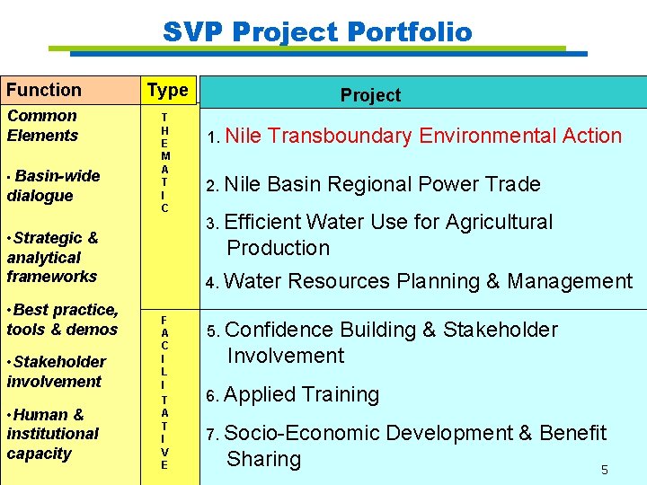 SVP Project Portfolio Function Type Common Elements T H E M A T I