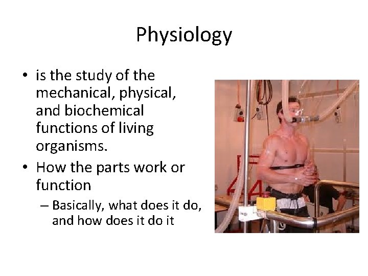 Physiology • is the study of the mechanical, physical, and biochemical functions of living