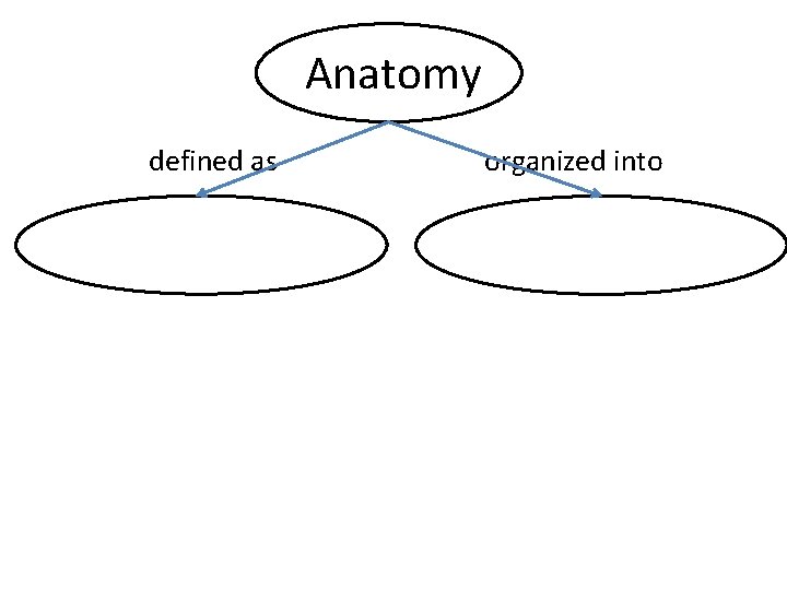 Anatomy defined as Study of body structures organized into Six structural levels 
