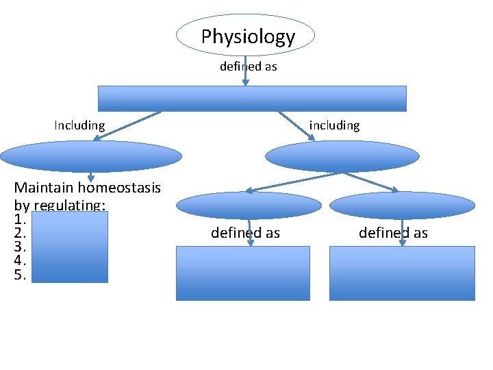 Physiology defined as study of function of body structures Including What structures do including