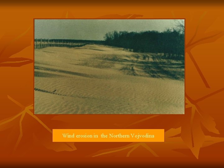 Wind erosion in the Northern Vojvodina 
