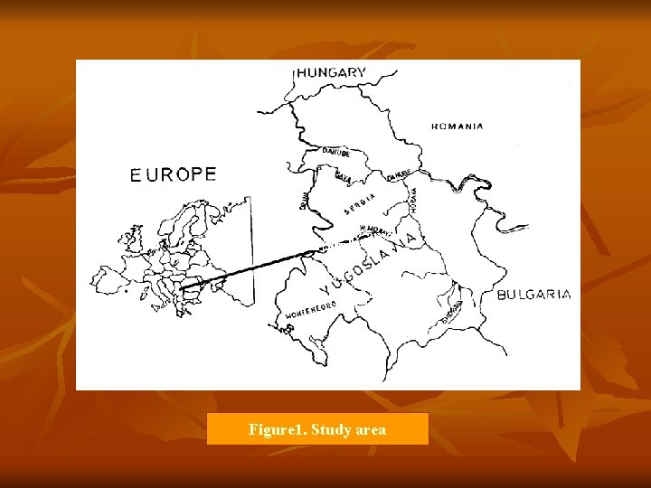 Figure 1. Study area 