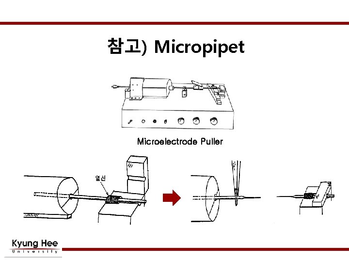 참고) Micropipet Microelectrode Puller 