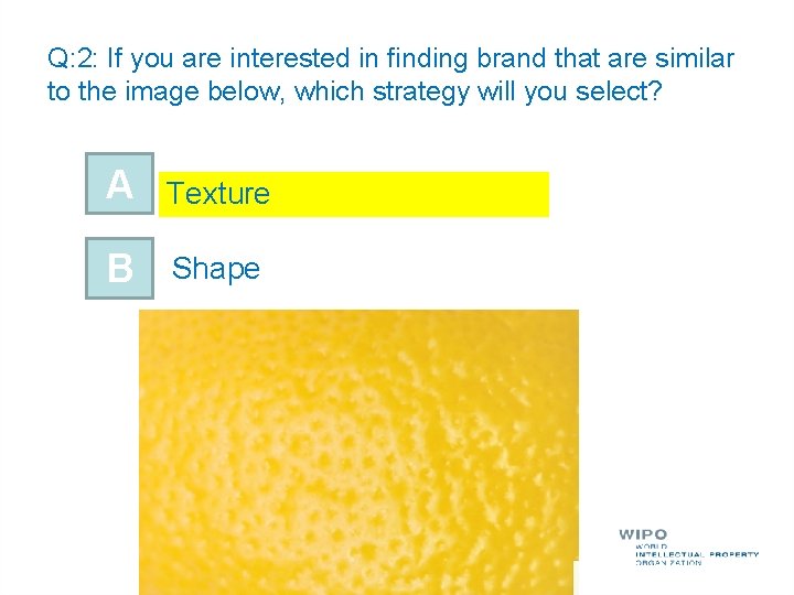 Q: 2: If you are interested in finding brand that are similar to the