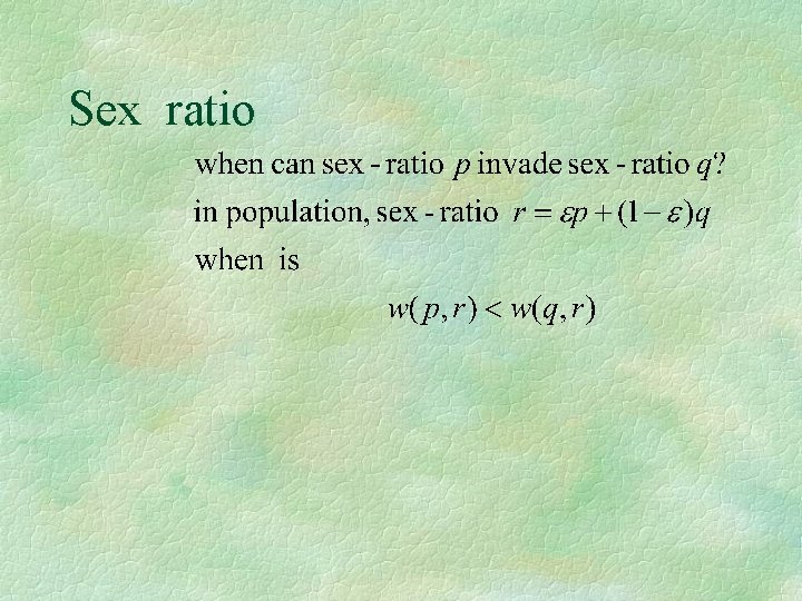 Sex ratio 