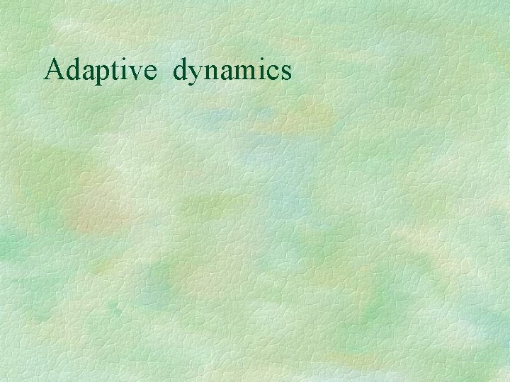 Adaptive dynamics 