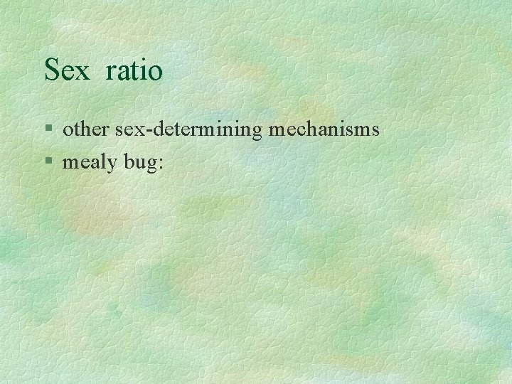Sex ratio § other sex-determining mechanisms § mealy bug: 