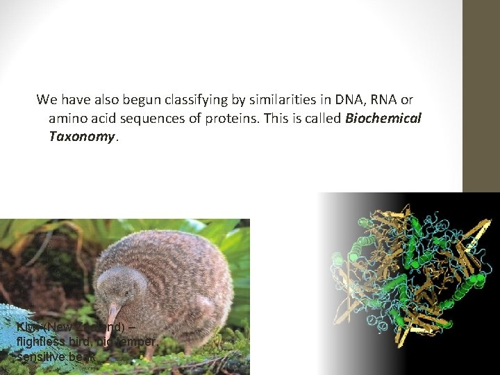 We have also begun classifying by similarities in DNA, RNA or amino acid sequences