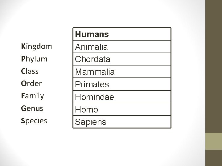 Kingdom Phylum Class Order Family Genus Species Humans Animalia Chordata Mammalia Primates Homindae Homo