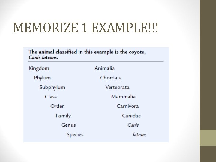 MEMORIZE 1 EXAMPLE!!! 
