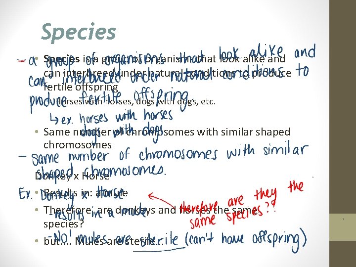 Species • Species is a group of organisms that look alike and can interbreed