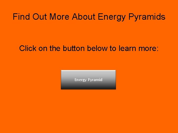 Find Out More About Energy Pyramids Click on the button below to learn more:
