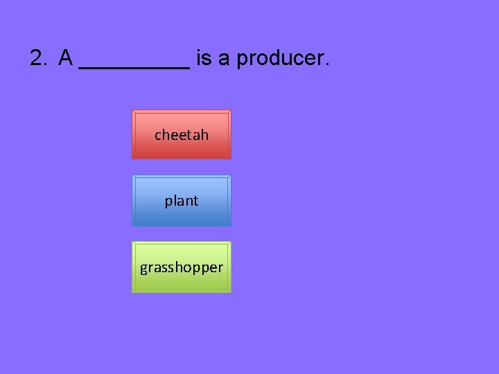 2. A _____ is a producer. cheetah plant grasshopper 