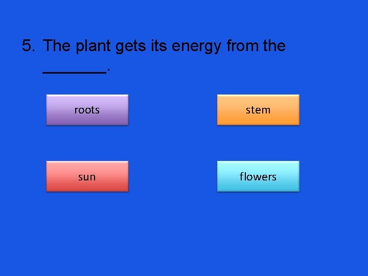 5. The plant gets its energy from the _______. roots stem sun flowers 