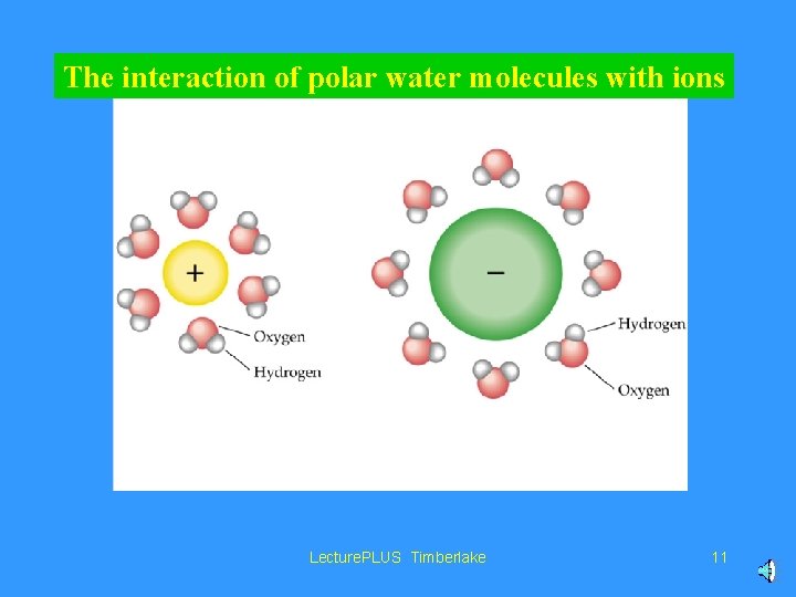 The interaction of polar water molecules with ions Lecture. PLUS Timberlake 11 