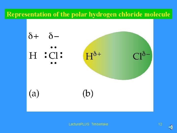 Representation of the polar hydrogen chloride molecule Lecture. PLUS Timberlake 12 