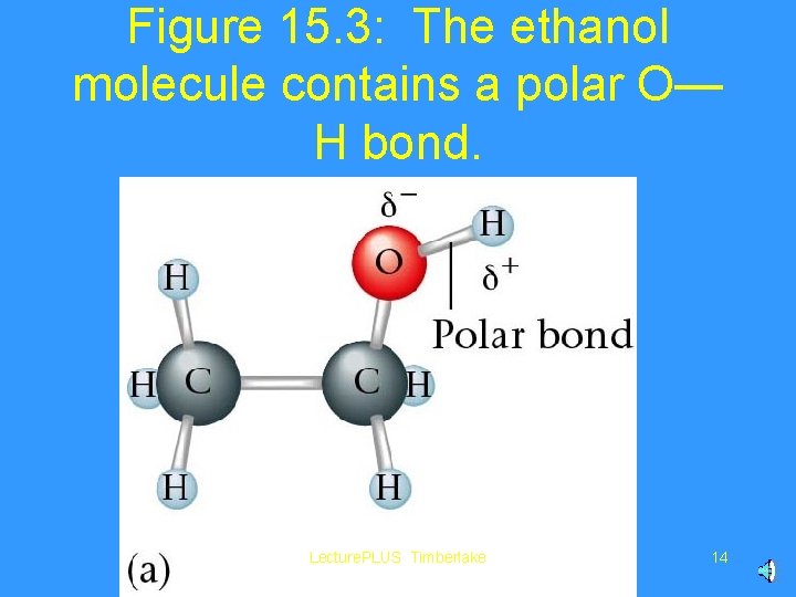 Figure 15. 3: The ethanol molecule contains a polar O— H bond. Lecture. PLUS