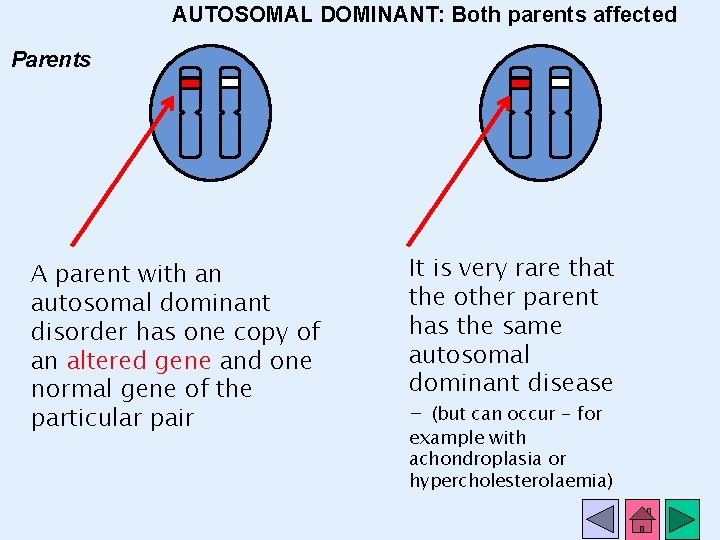 AUTOSOMAL DOMINANT: Both parents affected Parents A parent with an autosomal dominant disorder has