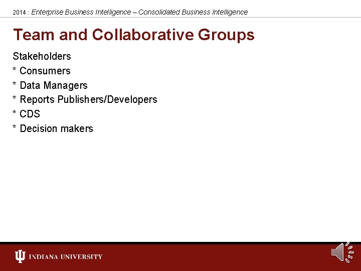 2014 : Enterprise Business Intelligence – Consolidated Business Intelligence Team and Collaborative Groups Stakeholders