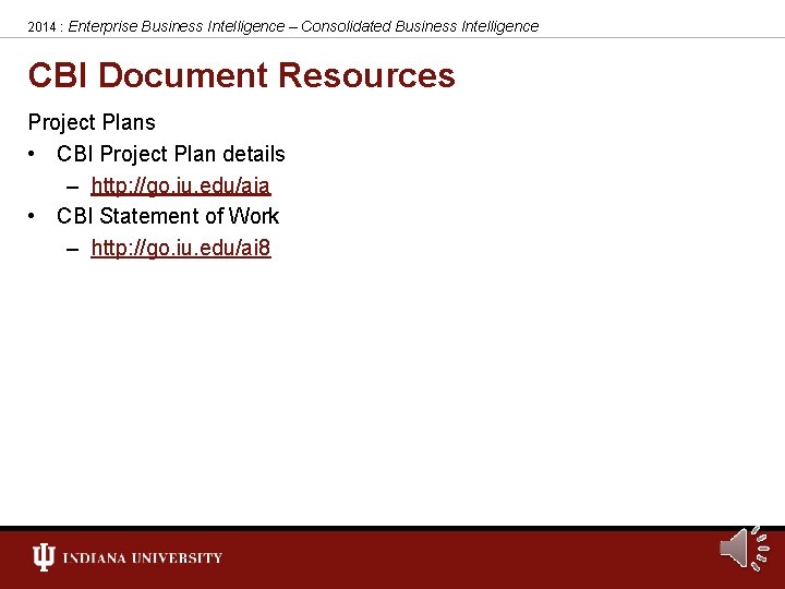 2014 : Enterprise Business Intelligence – Consolidated Business Intelligence CBI Document Resources Project Plans