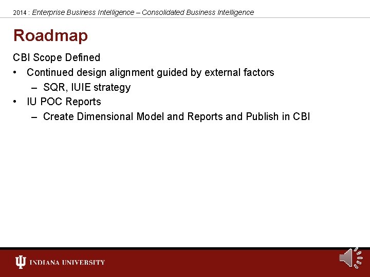 2014 : Enterprise Business Intelligence – Consolidated Business Intelligence Roadmap CBI Scope Defined •
