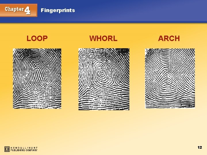 Fingerprints LOOP Chapter 4 WHORL ARCH 12 