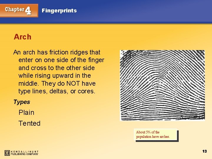 Fingerprints Arch An arch has friction ridges that enter on one side of the