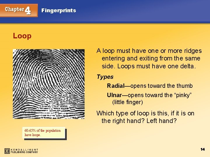 Fingerprints Loop A loop must have one or more ridges entering and exiting from