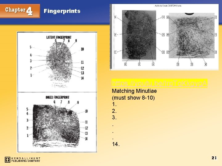 Fingerprints https: //youtu. be/Irp. Tq. Kkgyg. A Matching Minutiae (must show 8 -10) 1.
