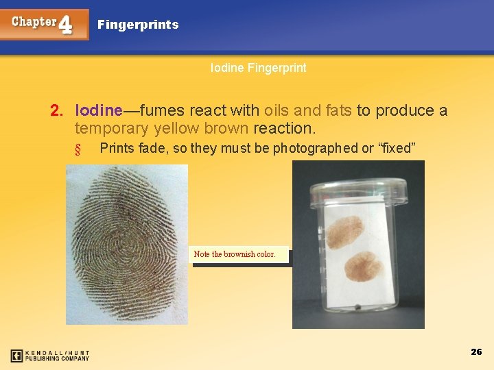 Fingerprints Iodine Fingerprint 2. Iodine—fumes react with oils and fats to produce a temporary