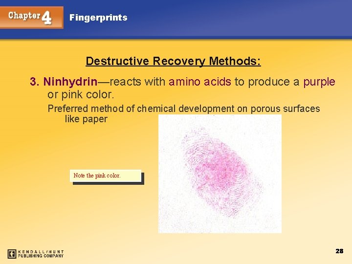 Fingerprints Destructive Recovery Methods: 3. Ninhydrin—reacts with amino acids to produce a purple or