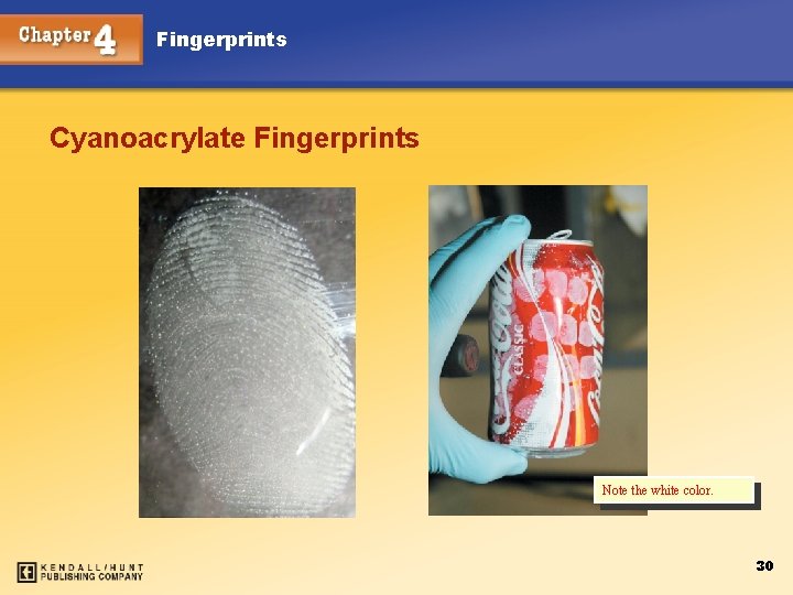 Fingerprints Cyanoacrylate Fingerprints Note the white color. Chapter 4 30 