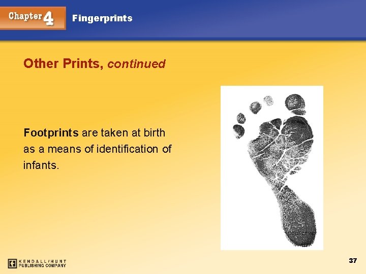 Fingerprints Other Prints, continued Footprints are taken at birth as a means of identification