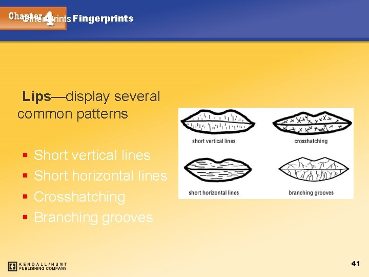 Other Prints Fingerprints Lips—display several common patterns § § Short vertical lines Short horizontal