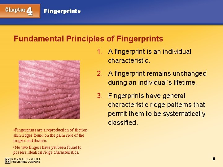 Fingerprints Fundamental Principles of Fingerprints 1. A fingerprint is an individual characteristic. 2. A