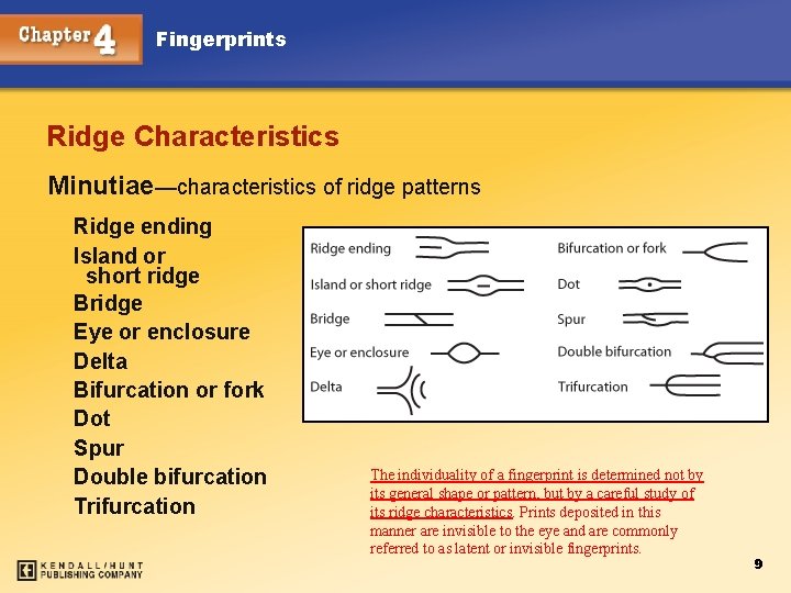 Fingerprints Ridge Characteristics Minutiae—characteristics of ridge patterns Ridge ending Island or short ridge Bridge