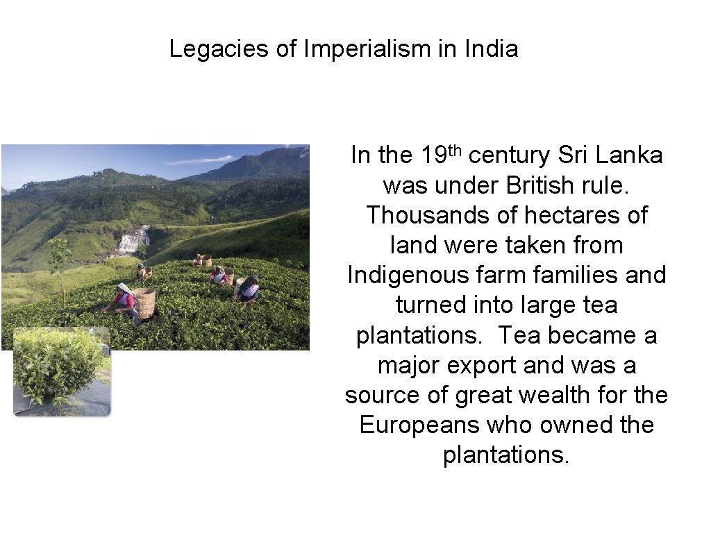Legacies of Imperialism in India In the 19 th century Sri Lanka was under