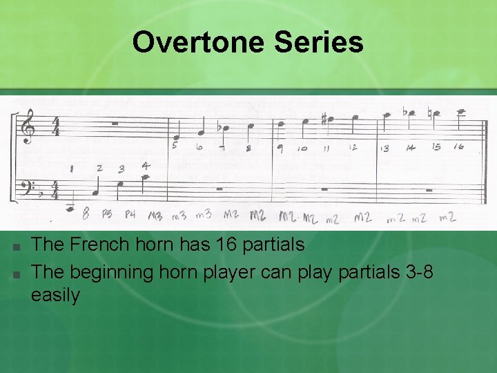 Overtone Series ■ ■ The French horn has 16 partials The beginning horn player